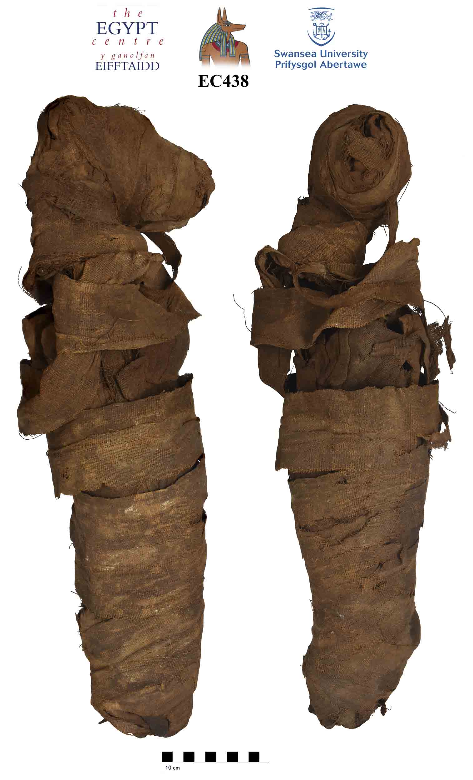 Image for: Mummified remains, possibly of a dog